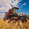 За год сельское хозяйство Крыма получило 2,5 миллиарда