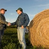 Крымских фермеров просят создавать кооперативы