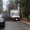В центре Севастополя дерево упало на автомобили