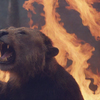 В Евпатории полностью выгорел зоопарк