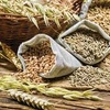Крым пытаются уговорить продавать в Африку зерно