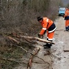 Разбушевавшийся в Крыму ветер повалил деревья на дороги