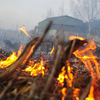 В Крыму пять дней будет пожароопасно