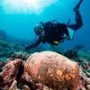В Херсонесе появится музей подводной археологии