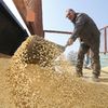 Севастополь в этом году отправит в Сирию 200 тысяч тонн зерна