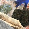 На границе с Крымом собака унюхала марихуану у жителя Украины