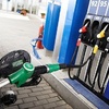 Цены на бензин в Крыму хотят сравнять с московскими