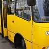 Водитель маршрутки в Крыму пытался выставить пьяного пассажира