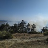 Пожарные потушили горящую траву возле Карадага