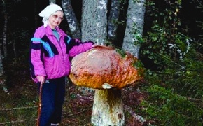 Грибы пять часов водили женщину по крымским горам