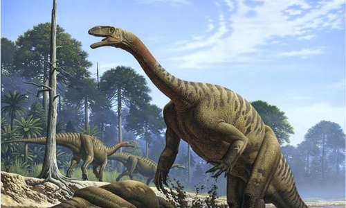 В Китае нашли следы динозавров, которым более 145 миллионов лет