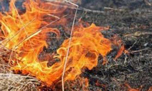 На выходных в Крыму 10 раз горела трава