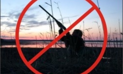 В Большой Ялте запретили охотиться до конца лета