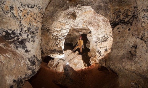 В пещере «Таврида» нашли останки жирафа и слона