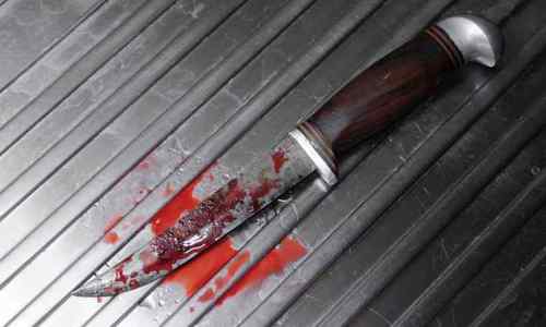 Пассажирку поезда Севастополь-Петербург пырнули ножом