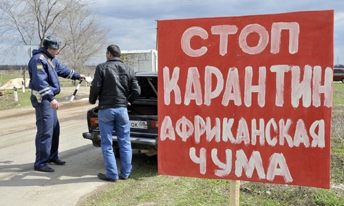 Аксенов объявил карантин всему Крыму
