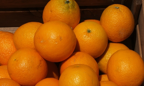 Севастопольцы пока могут не ждать апельсины из Сирии