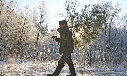Чиновники уйдут в крымские леса отбирать топоры