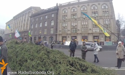 Крымчане отправили с елкой в Киев сестру нардепа