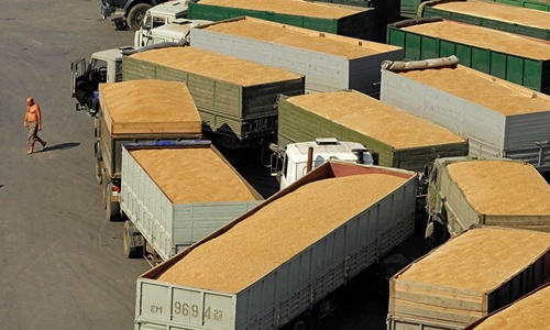 Крыму продадут 80 тонн зерна из госфонда