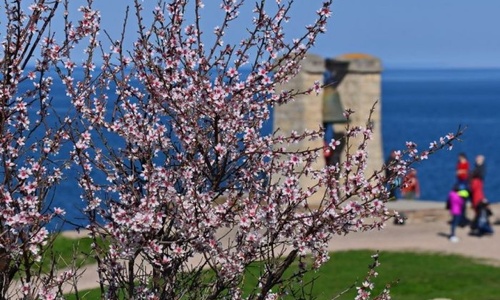 К понедельнику в Крым придет настоящая весна