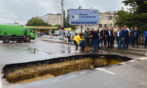 Рухнувший мост предлагают повесить на бывшего мэра Елену Проценко