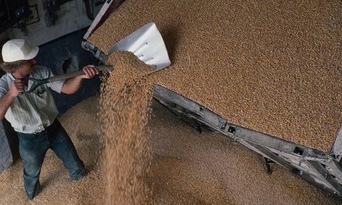 Двое крымчан украли пять тонн зерна