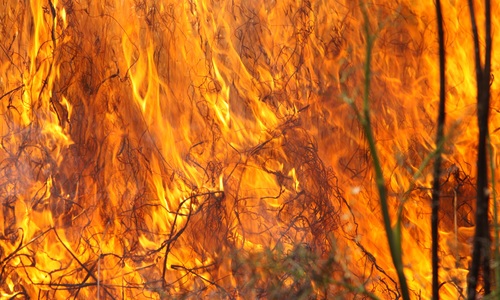Крымчан экстренно предупредили о пожароопасности