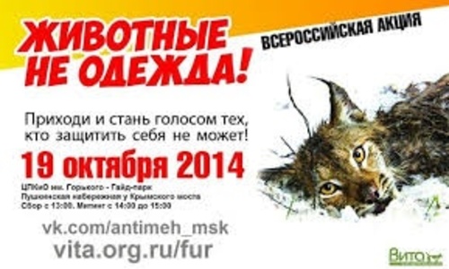 К акции «Животные не одежда» присоединился Крым