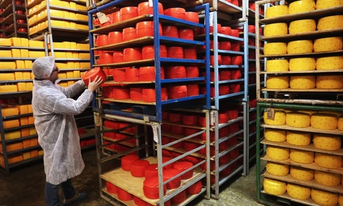 Ялтинцам не удалось спасти три тонны сыра