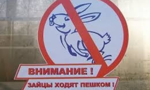 «Зайцев» в Крыму ждут большие штрафы