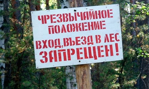 В Крыму введен режим ЧС. Леса закрывают от людей