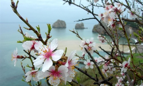 Завтра в Крым вернется весна