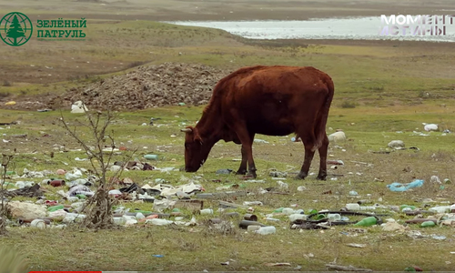 Экологи вскрыли полный бардак со свалками в Крыму