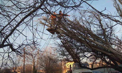 В Симферополе убирают снесенные ветром деревья
