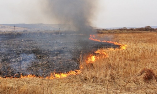 Крымская школьница спасла селян от пожара