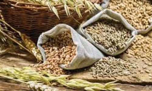 Крым пытаются уговорить продавать в Африку зерно