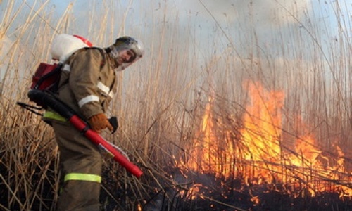 Крым горел больше ста раз за месяц