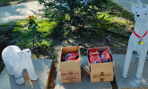 В Саках не розданные новогодние детские подарки выбросили на улицу