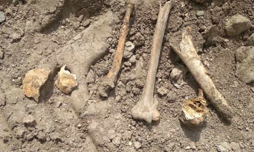 Во дворе школы Симферополя нашли кости мусульман
