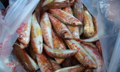 Барабулька обходится керчанам вдвое дороже говядины