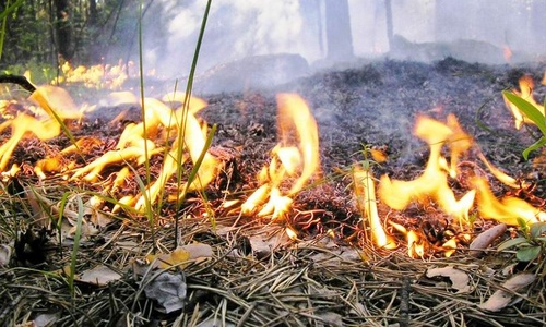 На Крымском полуострове все еще пожароопасно