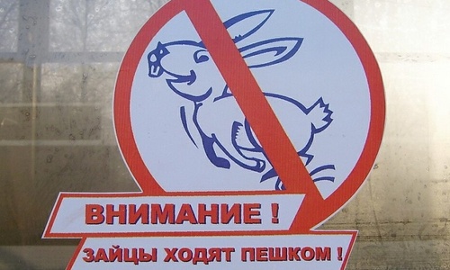 В автобусах Крыма вычислили 900 «зайцев»