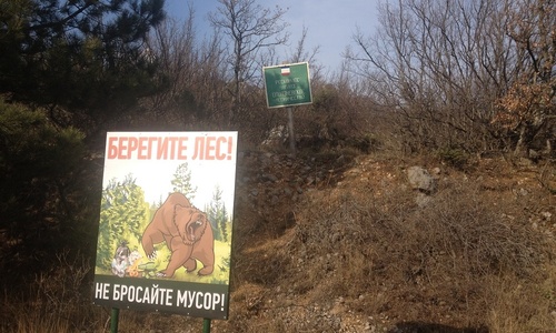 Ростенко поставил медведей на стражу чистоты