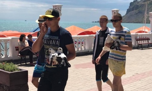 Волченко объявил войну курортным живодерам