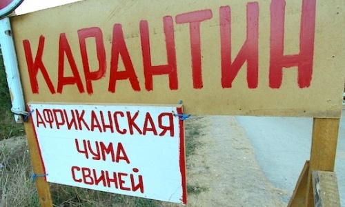 В Крыму постепенно начали снимать карантин по АЧС
