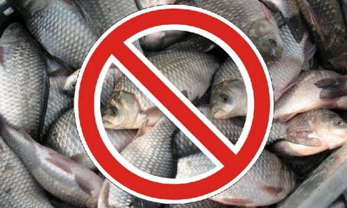 Украина хочет запретить ловить рыбу у Крыма