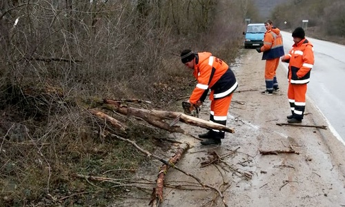 Разбушевавшийся в Крыму ветер повалил деревья на дороги