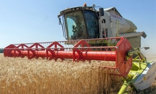 За десять лет в Крыму собран лучший урожай зерна