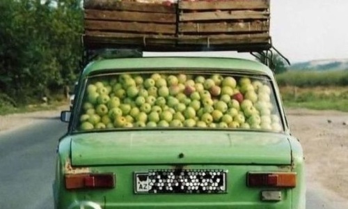 Крым готовится завалить Россию яблоками